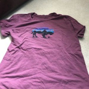 Patagonia t-shirt